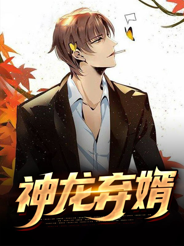 神龙废婿小说