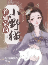 穿成首辅家的小野猫百度云盘