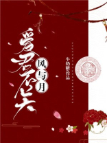 爱君不关风与月百度云