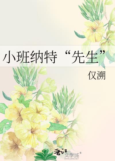 小班纳特先生晋江