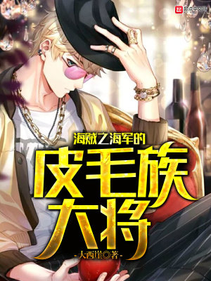 海贼之皮肤系统 小说