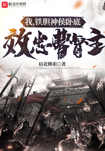 主角是铁胆神侯的小说
