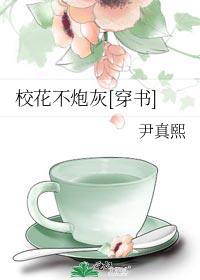 校花不炮灰全文宝书