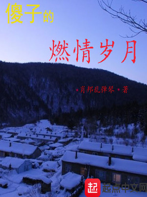 傻子的燃情岁月 肖邦乱弹琴