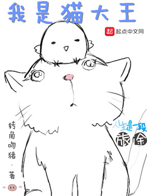 我是猫大王TXT下载
