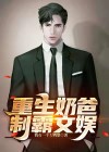 重生文娱巨星奶爸