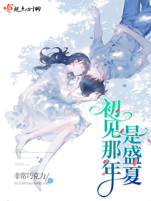 初见那年是盛夏简介