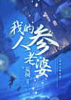 我的人参老婆小说讲的什么