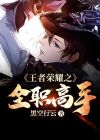 王者荣耀之全职高手 君莫疯 小说