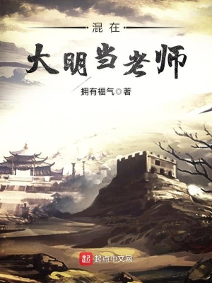 在大明当老师的小说