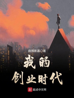 我的创业时代 小说