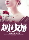 最狂女婿电视剧