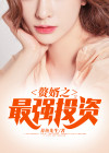 赘婿投资额