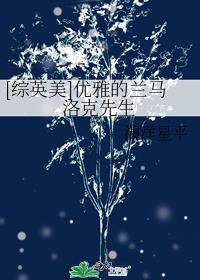 [综英美]优雅的兰马洛克先生cp