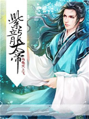 紫龙大将小说