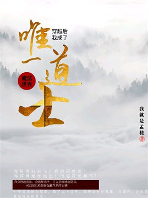 道士穿越魔法世界的小说
