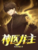 神医龙主 小说