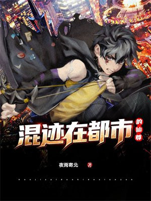 混迹都市的小说