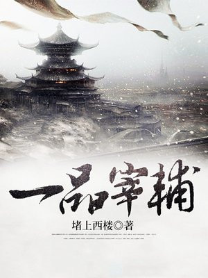 一品宰辅TXT