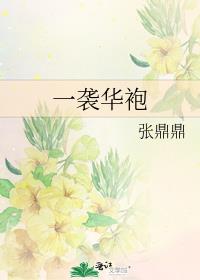 一袭华袍TXT百度云