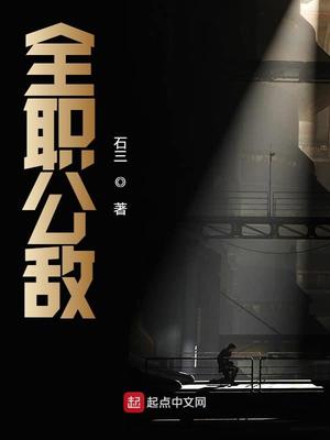 全职公敌笔趣阁