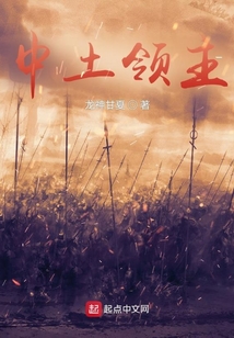 魔戒:中土领主 小说免费阅读
