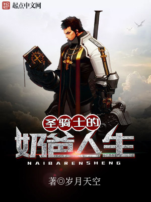 奶爸圣骑士TXT