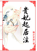 贵妃起居注百度云