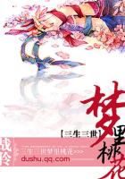 三生三世梦里桃花密码