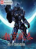 数字风暴 小说