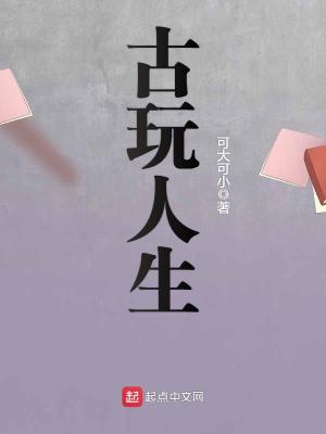 古玩人生于立飞免费阅读