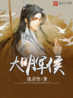 大明军侯TXT百度网盘