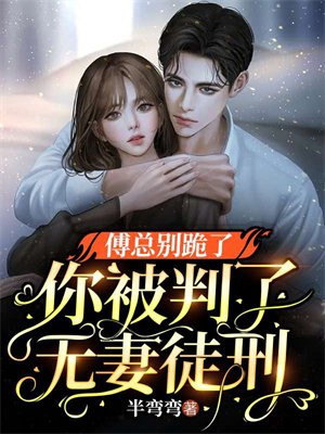 傅总宠妻无度小说