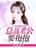 先婚后爱:总裁老公要抱抱
