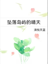 坠落岛屿的晴天小说全文免费阅读无弹窗笔趣阁下载