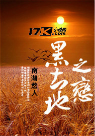 黑土地之恋电视剧