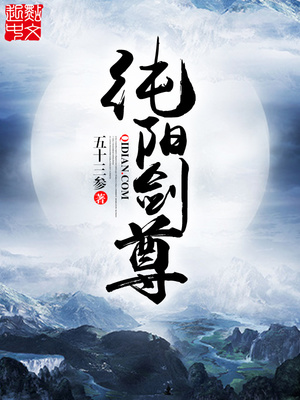 纯阳剑尊笔趣阁