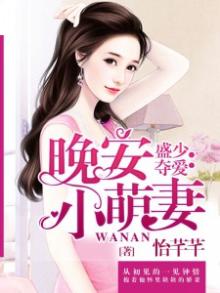 盛少夺爱:晚安小萌妻免费阅读
