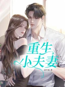 重生小夫妻军婚免费阅读