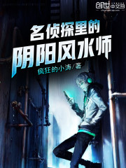 名侦探里的阴阳风水师 小说