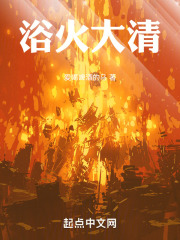 浴火大清小说
