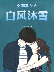 全职高手之风起散人笔趣阁
