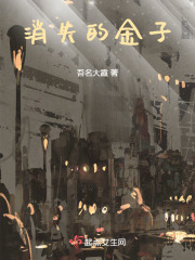消失的金子片段