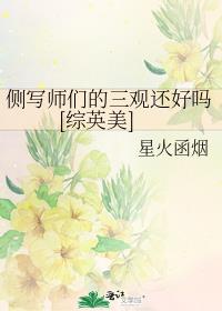 侧写师女主小说