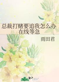 总裁打赌要追我怎么办在线等急 小说