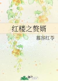 红楼之赘婿无防盗