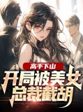 高手下山美女总裁是我小娇妻
