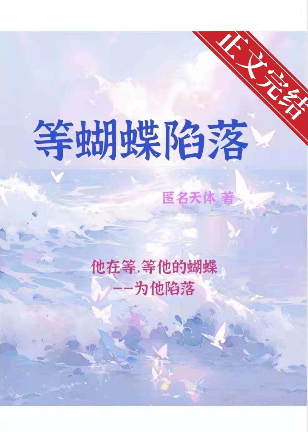 飓风蝴蝶娱乐圈