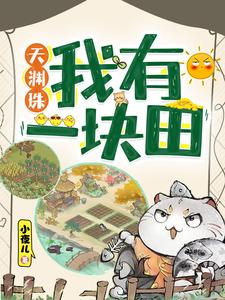 天渊珠:我有一块田