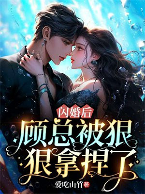 闪婚总裁顾兮兮免费阅读